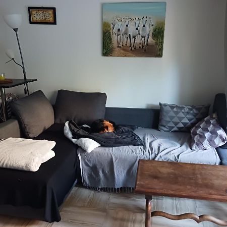 Rez-De-Jardin Grand Studio Apartment Cros de Cagnes Bagian luar foto